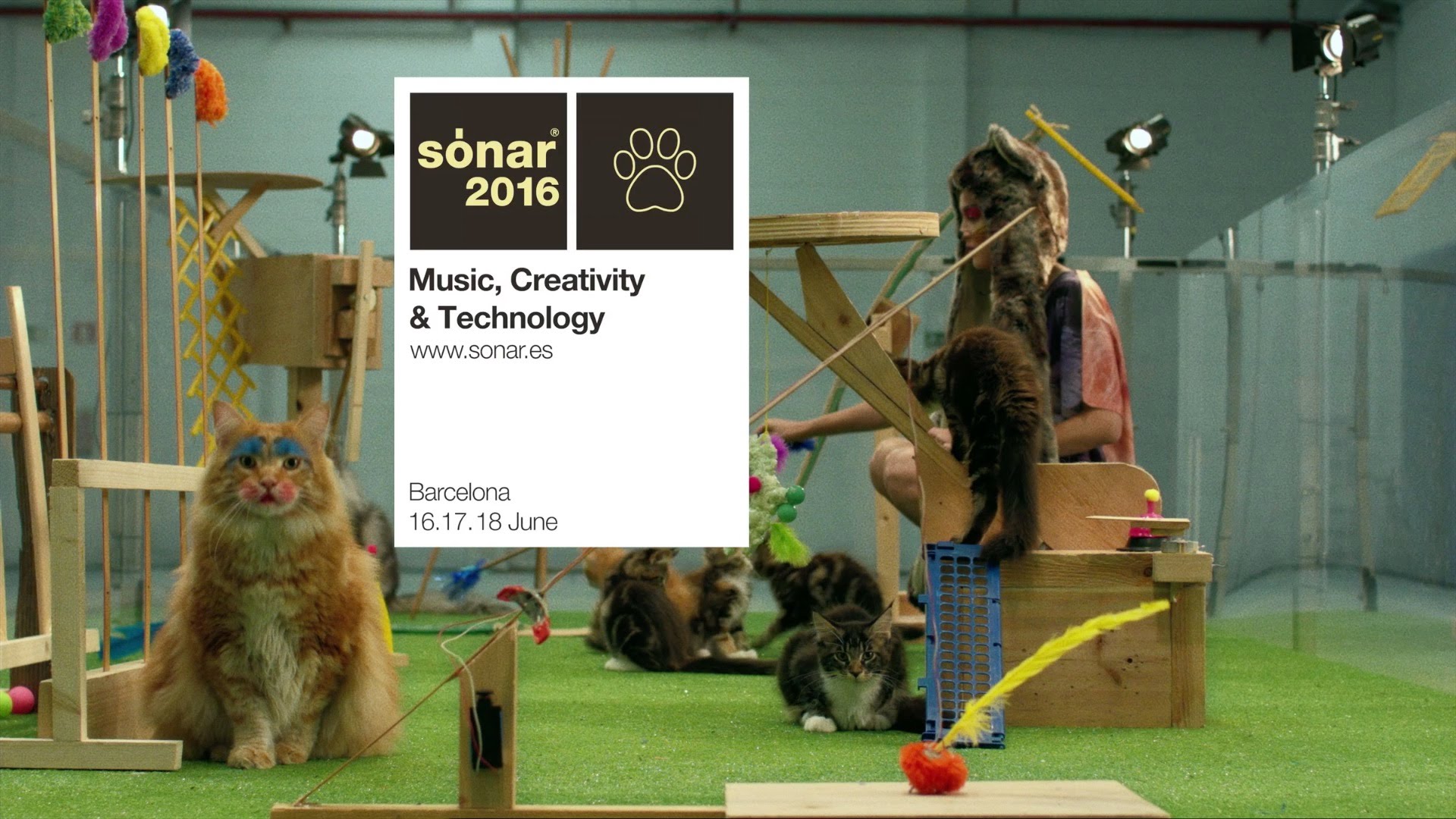 2016_Sonar.jpg